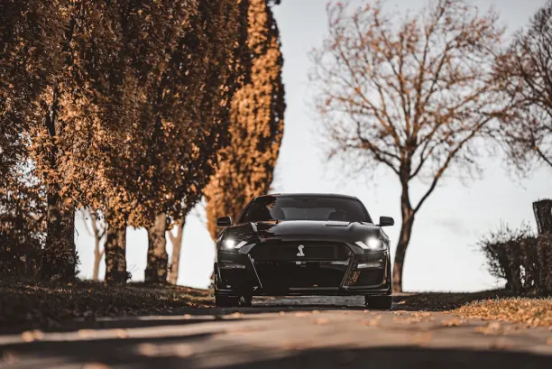 Cazino Lion Wins Cazinou Aplicație Android/iOS